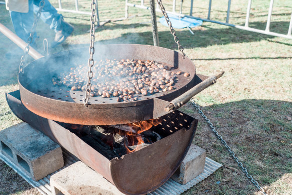 Roasting chestnuts.