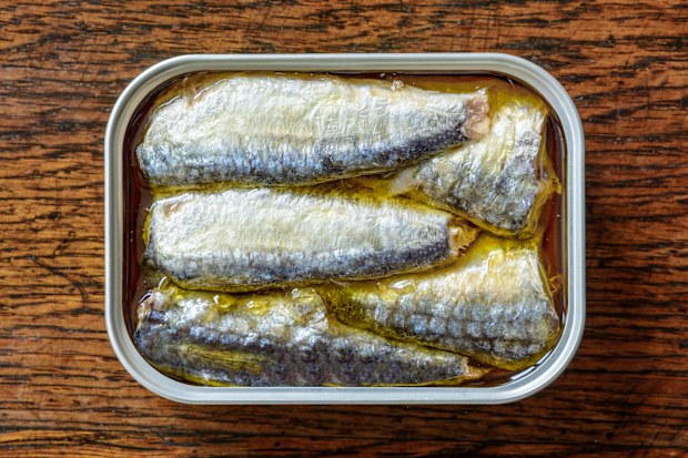 Stock image of a tin of sardines
