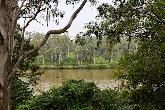 View of the Brisbane River in Jindalee. 
