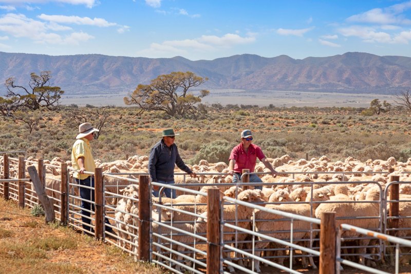 NAB director Simon McKeon part of $120m swoop on trophy farms