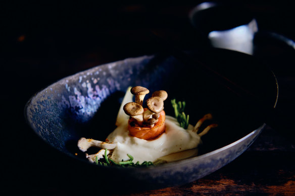 Blow-torched shimeji mushroom and ocean trout, tofu surinagashi and local seaweed.