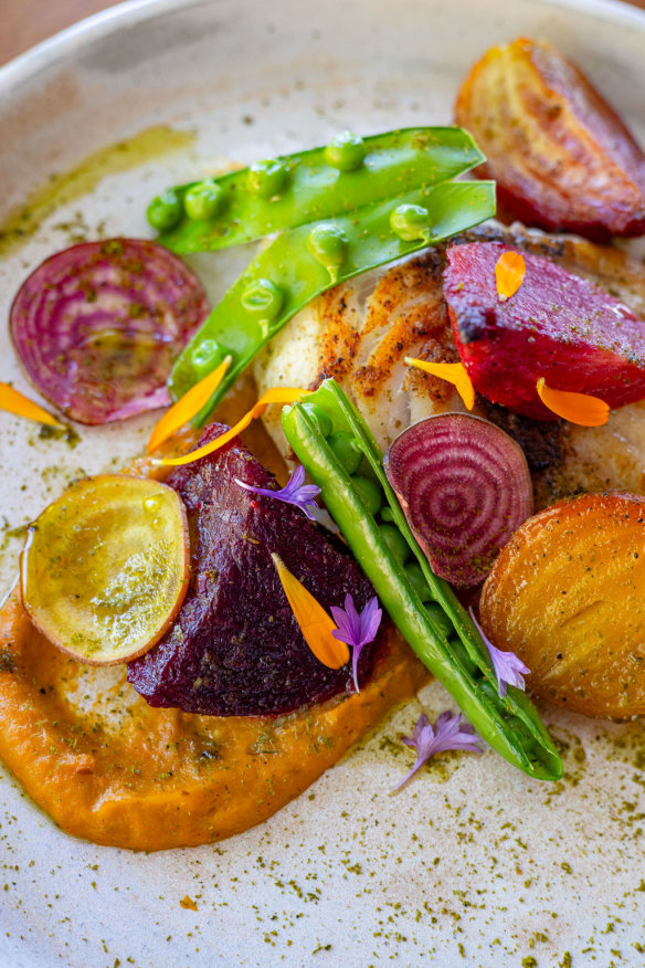 Carrot cream, pan-fried Rankin cod, honey roasted beetroots and fresh peas.