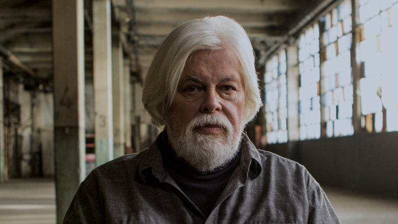 For Sea Shepherd Founder Paul Watson Protesting Is Too Submissive