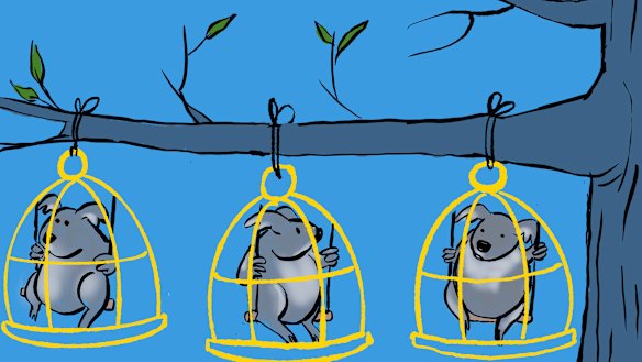 Illustration: Andrew Dyson