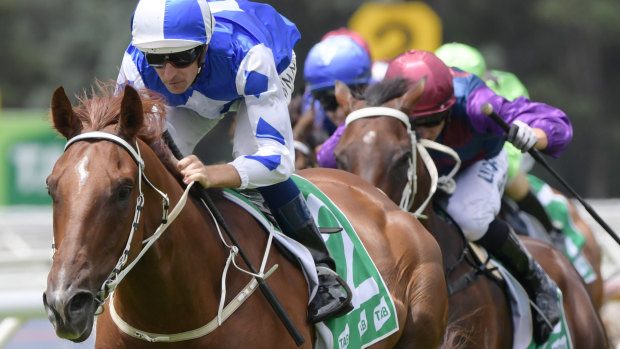 Noble Boy is the favourite for the Country Championships Final.