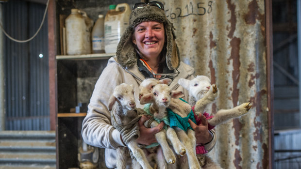 Yass farmer Rachel Allen rugs up her day-old lambs in hand-knitted jumpers to help them survive the winter during the drought. 