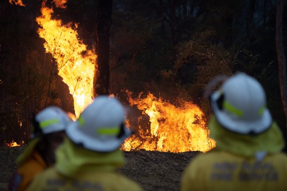 Bushfire behind homes along Park Rd, Woodford, in the Blue Mountains.