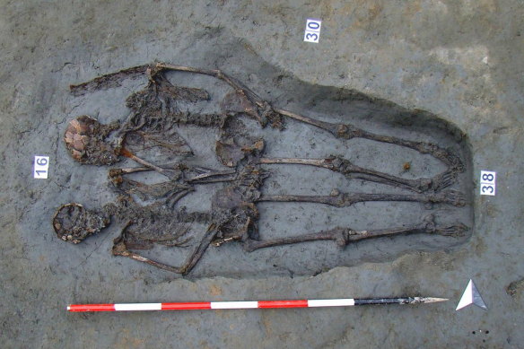Skeletal remains usually weigh about 9 kilograms.