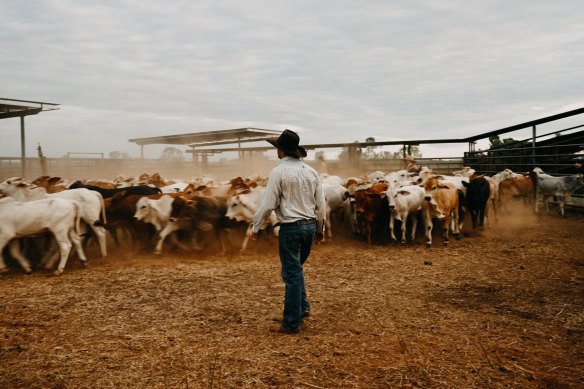 
With all the creature comforts it’s tough remembering this is a working cattle station.