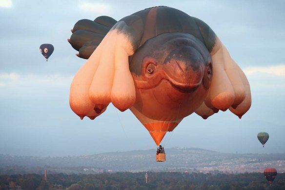 The polarising Skywhale by former Canberra artist Patricia Piccinini.