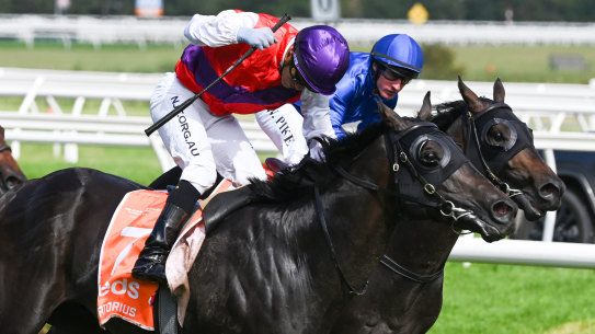 Artorius flies the flag for Flying Artie in the Blue Diamond Stakes..