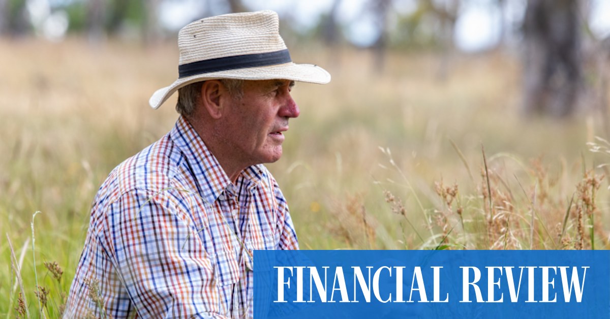 This northern NSW beef farmer has turned climate change to his advantage. Now companies like McDonald's want others to follow suit - Vimarsana News