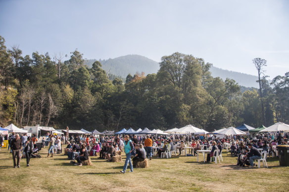 The market grounds.