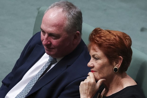 Member for New England Barnaby Joyce and One Nation leader Senator Pauline Hanson in the House of Representatives to attend an address from President of the European Commission Ursula von der Leyen to Members and Senators of the Parliament of Australia, at Parliament House in Canberra, on Tuesday 24 March 2026. fedpol Photo: Alex Ellinghausen