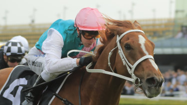 Two Birds One Stone Mcevoy Winging It For Eagle And Finche