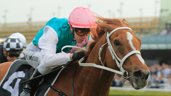 Kerrin McEvoy gets Finche home in the Kingston Town Stakes.