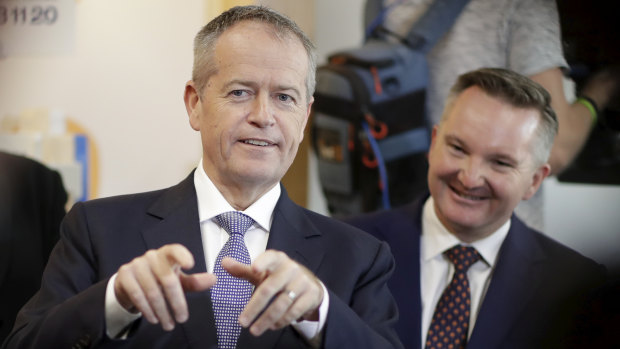 Bill Shorten's use of international carbon permits has been backed.