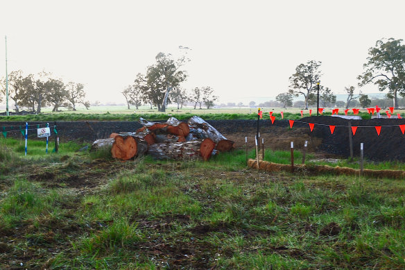 Trees were felled along the Western Highway, as the state government resisted traditional owner calls for works to halt until an upcoming court case is resolved.