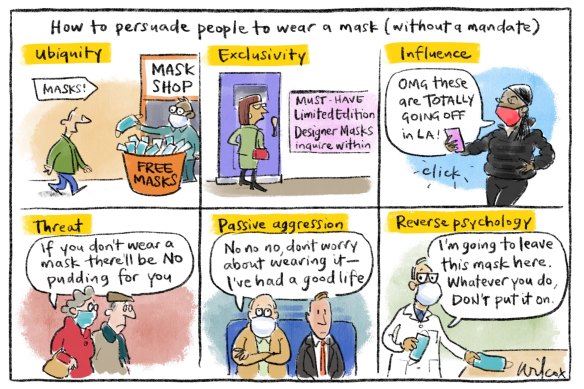 Illustration: Cathy Wilcox