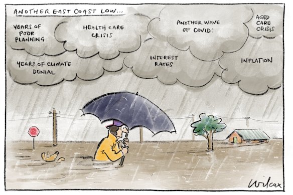 Illustration: Cathy Wilcox