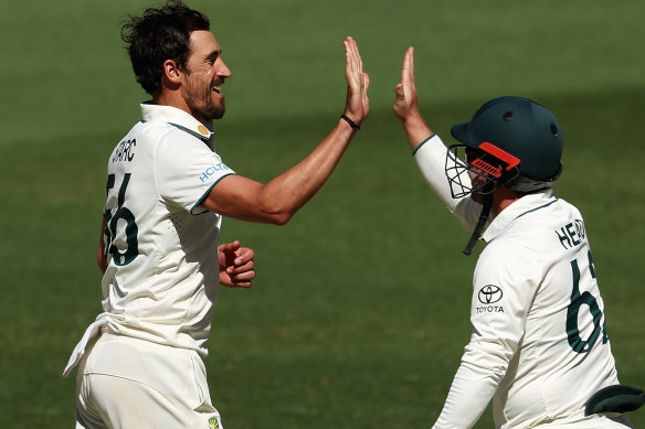 Mitchell Starc has been on song today.