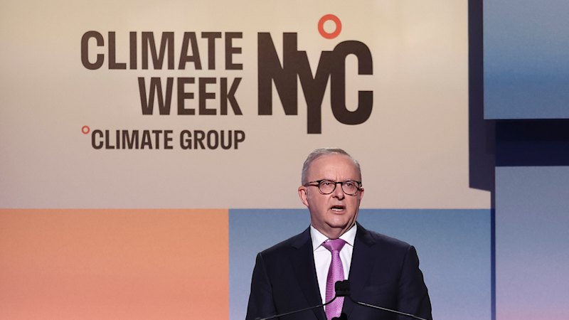 Albanese is all talk, no action on climate