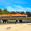 Crossing Boambee Creek, near Coffs Harbour.