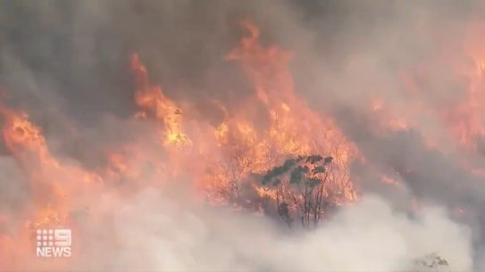 A bushfire burning in the Royal National Park on Saturday.