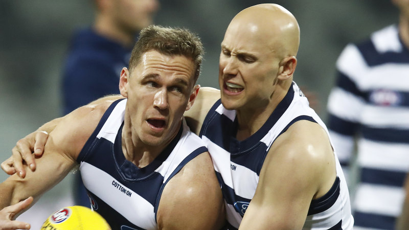 Cats Balancing Act In Milestone Match