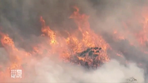 A bushfire burning in the Royal National Park on Saturday.