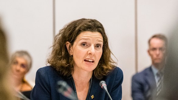 Independent MP for Wentworth Allegra Spender will hold her own tax roundtable.