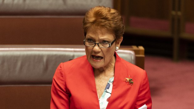 Senator Pauline Hanson said she asked Burney and Dreyfus a series of questions about the Voice’s model.