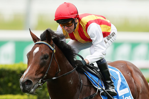 Kerrin McEvoy believes the best is yet to come from Peltzer, starting with Saturday's San Domenico Stakes.