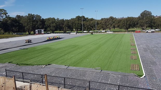 Artificial: Woollahra No.1 has been transformed from a regular turf field to a high-tech synthetic pitch. 