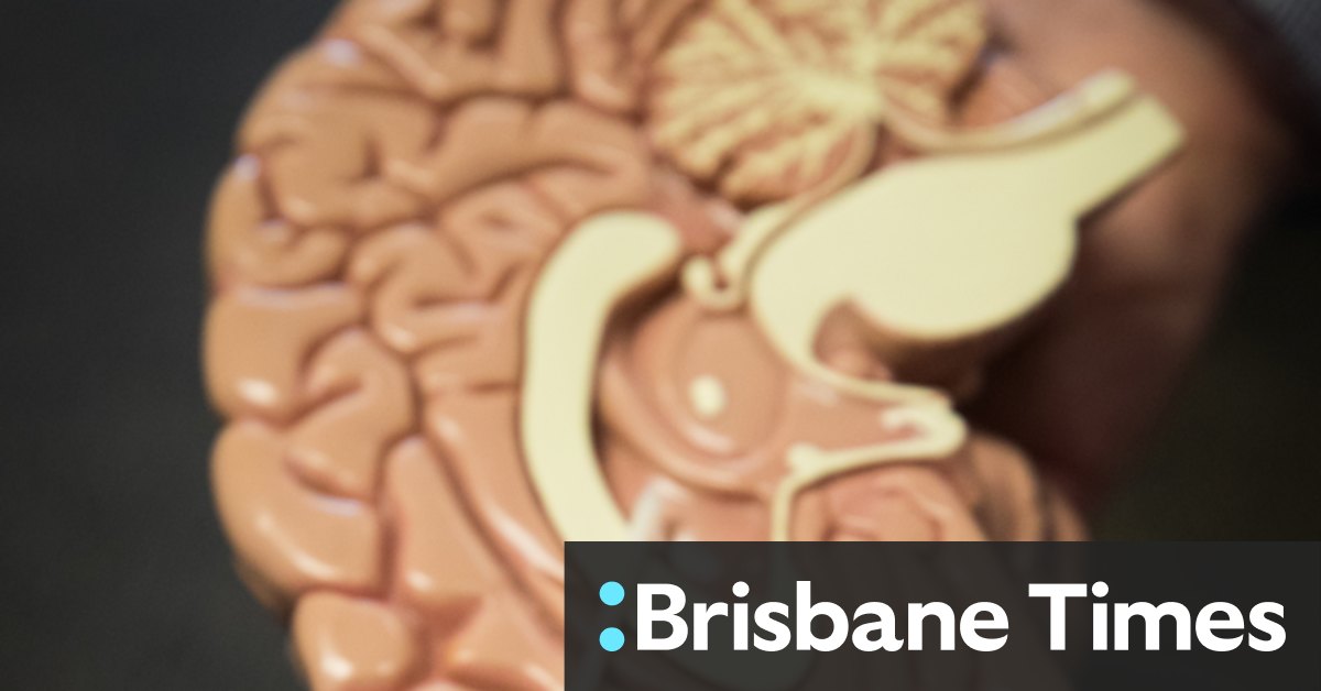 'Brains' grown in lab help UQ researchers hunt for cures - Vimarsana News
