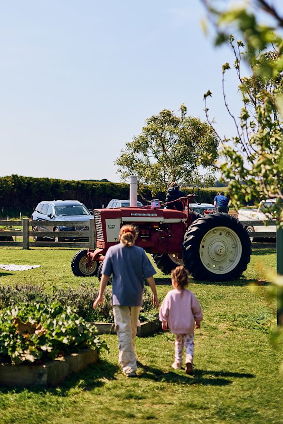 Summer days at the farm.