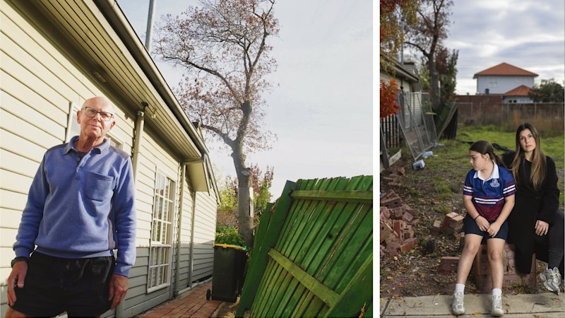 All the leaves are brown, the sky is grey – and the neighbours are warring over trees