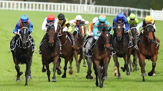 Wagga Wagga hosts an eight-race card on Sunday.