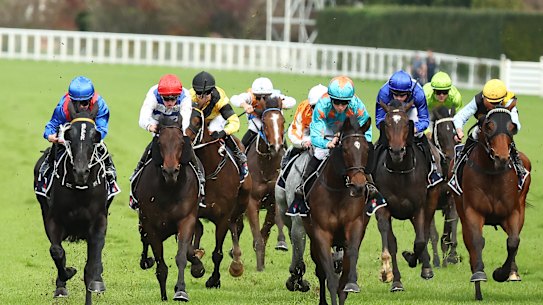 Wagga Wagga hosts an eight-race card on Sunday.