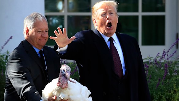 Donald Trump gives "Peas", a National Thanksgiving Turkey, a pardon during a ceremony in the Rose Garden of the White House on Tuesday.