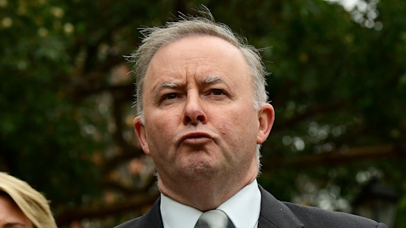 Anthony Albanese in Sydney's Burwood on Saturday.
