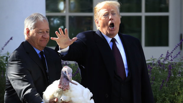 Donald Trump gives "Peas", a National Thanksgiving Turkey, a pardon during a ceremony in the Rose Garden of the White House on Tuesday.