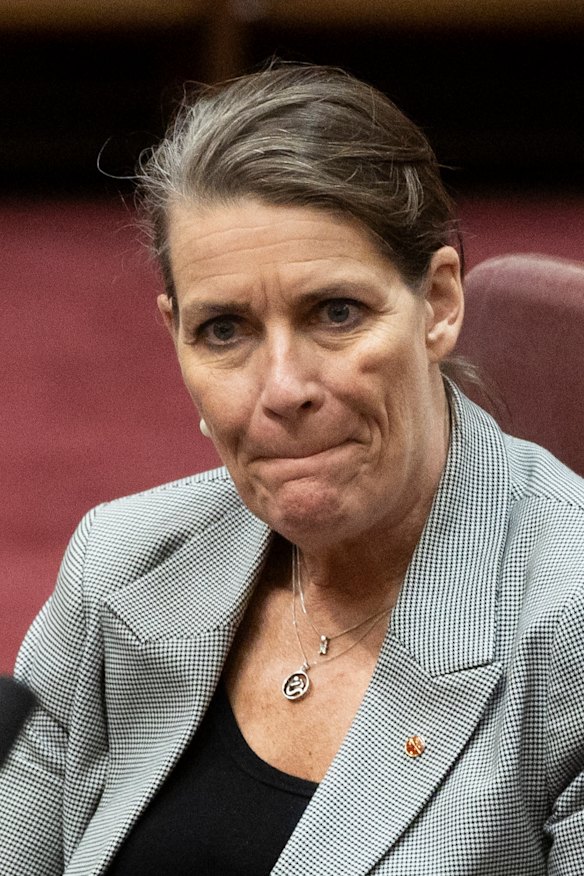 Former senator Perin Davey.