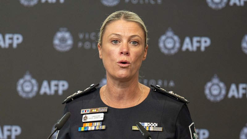 Politicians' rhetoric fuelling threats against MPs: AFP chief