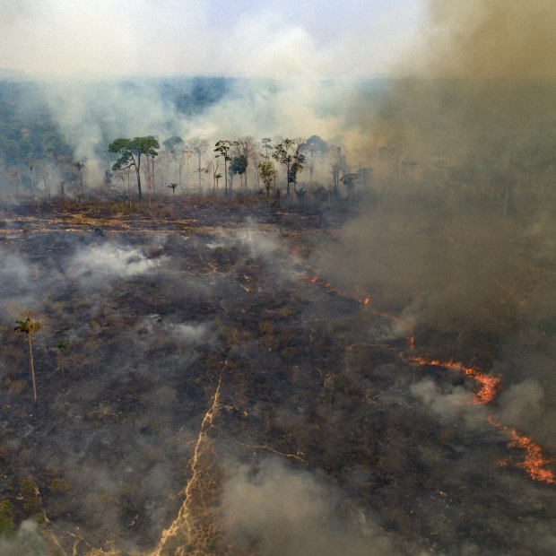 Large areas of the Amazon rainforest have burnt in recent years, often due to farming and land-clearing. Scientists fear too much fire in the “lungs of the planet” could trigger a tipping point of irreversible landscape change from jungle to savannah. 
