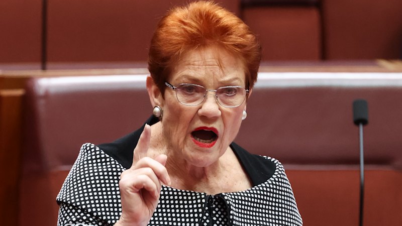 Burke dismisses Hanson counter-terror proposal, saying current laws are at constitutional limit