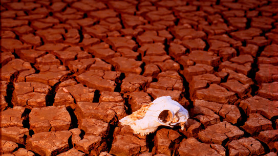 The climate drivers are in place for a strong El Nino event, which can bring drought and bushfires to east coast Australia.