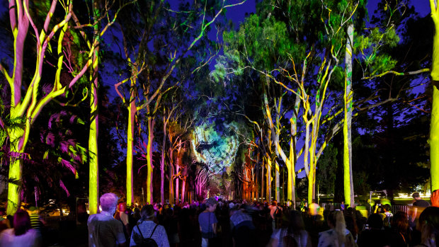 As Lightscape closes, state announces next Kings Park tourist spectacle