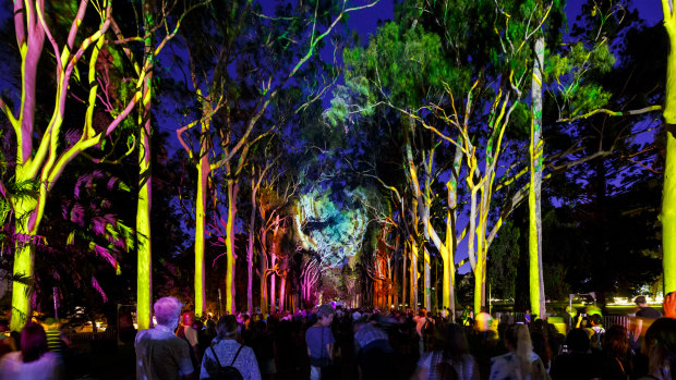 As Lightscape closes, state announces next Kings Park tourist spectacle