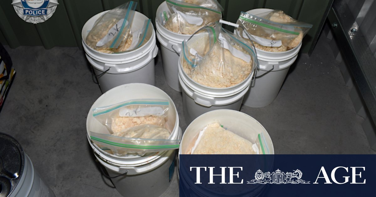 Nine arrested in multi-state sting over alleged drug-smuggling plot - Vimarsana News
